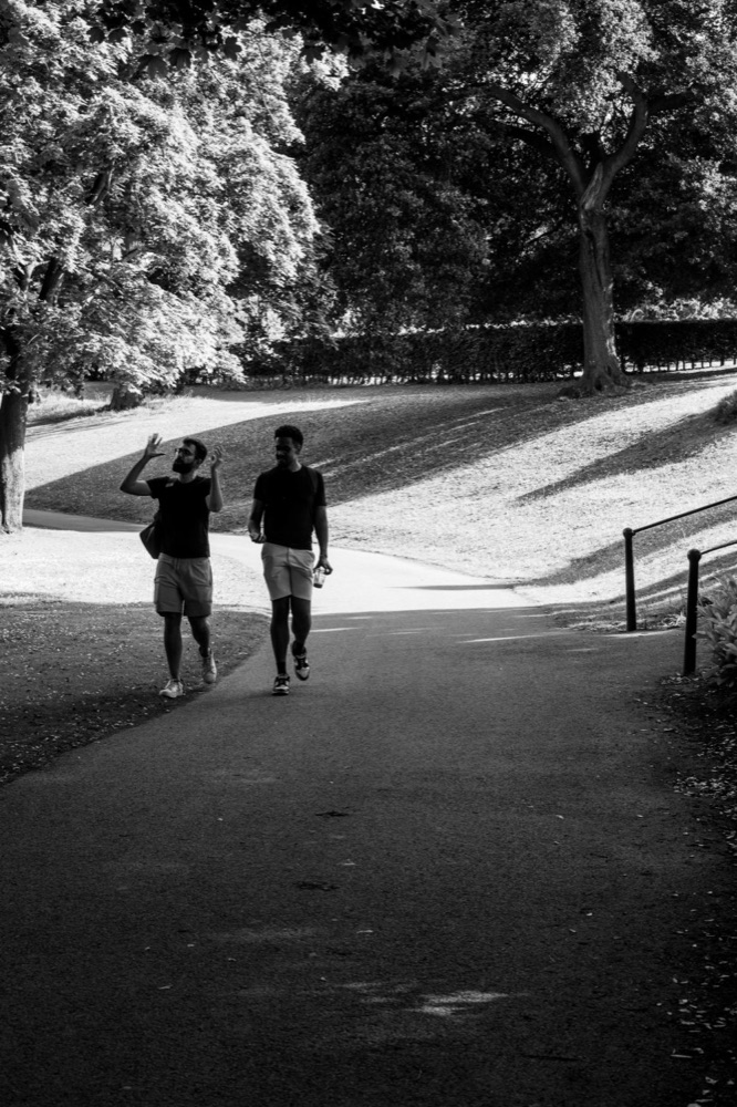 Two friends walking and talking in a park